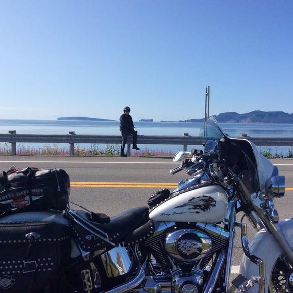 Meet your Posher, Carole - Picture 1 of 1